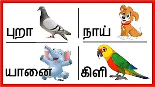 50 ஈரெழுத்து சொற்கள் | Two Letter words in Tamil | இரண்டு எழுத்து சொற்கள் | Irandu ezhutthu sorkal.