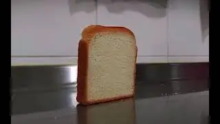 Toast...
