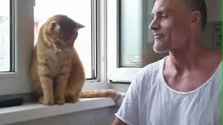Из мирной жизни...
