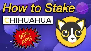 How to Stake Chihuahua MEME Coin | $HUAHUA Cosmos Community-owned meme coin