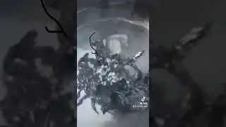 2 сентября 2024 г.