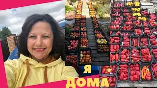 ПУТЕШЕСТВИЯ ЗАКОНЧИЛИСЬ Я ДОМА / заходите в ГОСТИ