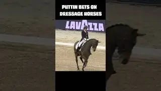 Betting on the (Dressage) Horses 🏇