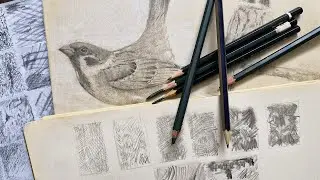 Mastering Pencil Techniques: A Guide to Texture, Shading, and Depth