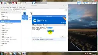 Installing Teamviewer Host on Raspberry Pi