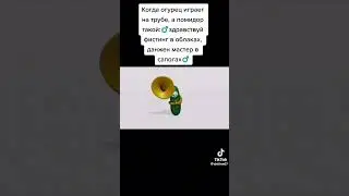 10 мая 2023 г.