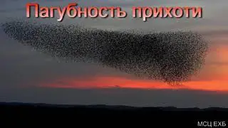 Пагубность прихоти  Я  Я  Янц  МСЦ ЕХБ ПРОПОВЕДЬ 2020