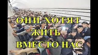 Миграционной политики в России нет.