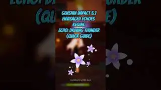 Genshin Impact Envisaged Echoes Keqing Echo Guide #genshinimpact #genshinguide