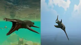 [Nat Hist] Aquatic Antics