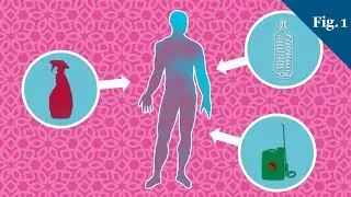 How Do Our Bodies Fight Off Dangerous Chemicals?