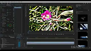 How to Use Unsharp Mask in Premiere Pro | Sharpen Video Like a Pro