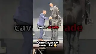Gusttavo Lima traz UM CAVALO pra cima do palco..