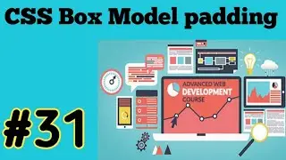 Padding in Box Model CSS tutorial