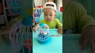 Cute 6