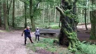 Træning i skoven