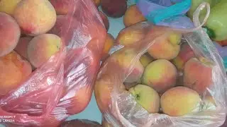 Персиковый рай 🍑 Мясо - овощная экспресс - закупка 🤪на 2000 рублей. 26.07.24. Цены в Новой Каховке 🤗