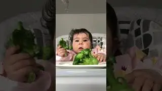 Wieso mag mein baby Brokkoli