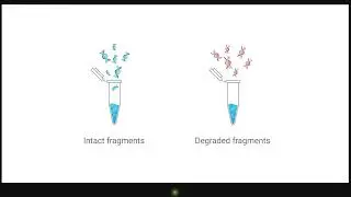 Resources for Nucleic Acid Sample Quality Control Part 1
