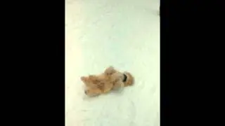 Лыжню