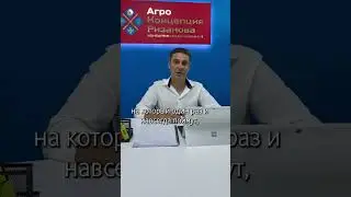 Как создать систему азотного питания растений