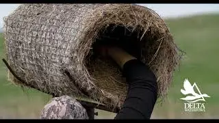 Delta’s Top Mallard Production Tool — New Video Explores Hen Houses