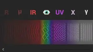 Waves