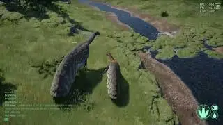 Theri Life - The isle
