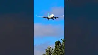 Boeing 737-800 Transavia ✈️ #airport #lisboa #shorts
