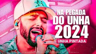 UNHA PINTADA 2024, UNHA PINTADA SÓ O BAGAÇO, UNHA PINTADA 2024 DEZEMBRO, SÓ O BAGAÇO UNHA PINTADA