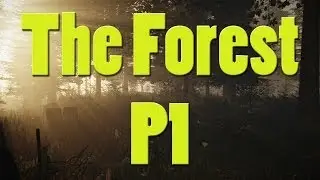 MAKING FIRES! - The Forest P1 (Gameplay/ Let's Play)