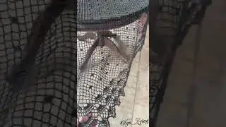 Скатерть вязаная крючком прямоугольная