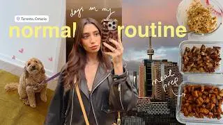days in my very normal life | back to routine, meal prep, lash lift & working out again...
