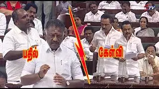 MK Stalin vs o panneerselvam and R.B.Udaya Kumar at Tamil Nadu Assembly today | P. Dhanapal |STV