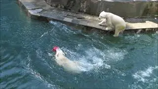 Сестричкам очень весело играть вдвоём 15.08.2023