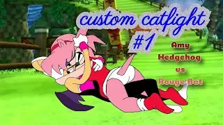 Amy Hedgehog vs Rouge Bat (furry catfight)