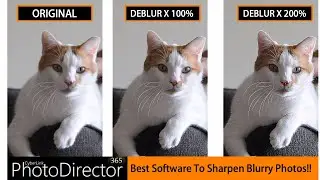 Fix Blurry Images-Sharpen & Deblur-PhotoDirector 365 - NEW!!