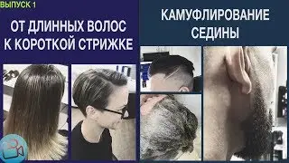 ОТ ДЛИННЫХ ВОЛОС К КОРОТКОЙ СТРИЖКЕ И КАМУФЛИРОВАНИЕ СЕДИНЫ