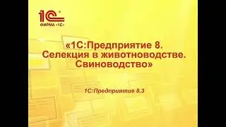 Обзор программы «1С:Селекция в животноводстве. Свиноводство».