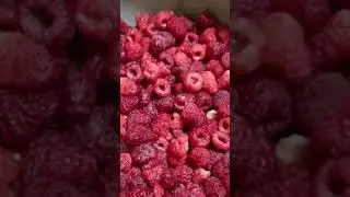 Ягода малины Полонез.