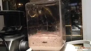 How to Make a Sourdough Starter at Home: Timelapse