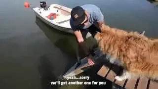 Tutorial - How to do the Magic for Dogs -trick?