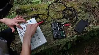 ELEKTRON Model:Cycles 67