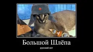 Большой Шлёпа предупреждает Обэму