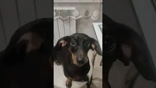 В твою любовь.. 