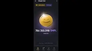 Simple Coin - The Coin I Was Too Early For