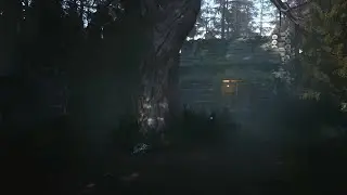 This CABIN In The WOODS Has A DARK SECRET....