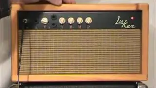 Luker Tiger amp and a Fender Stratocaster