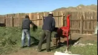 Эрдэнэшишийн дарш