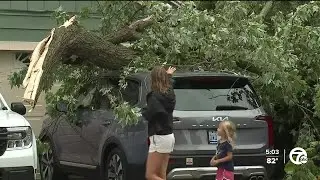 DTE: 'Significant' damage from Tuesday's storm left about 300,000 without power
